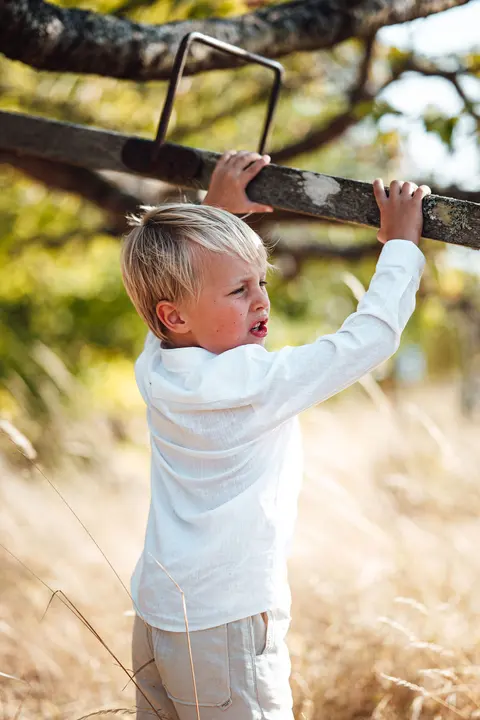 The page boy reaching up to the seesaw in an old tree
