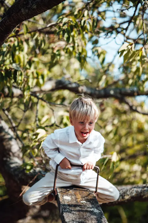 A boy climbing a branch above the long grass