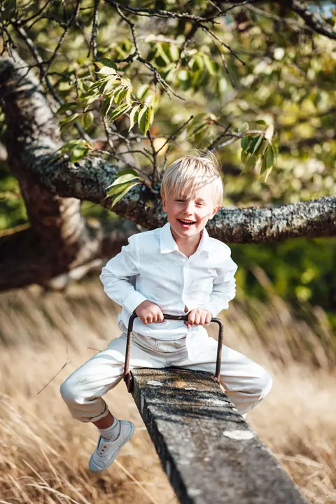 A boy laughing while climbing a tree