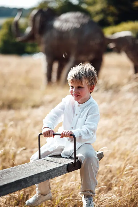 A boy on the seesaw with grazing cattle behind him