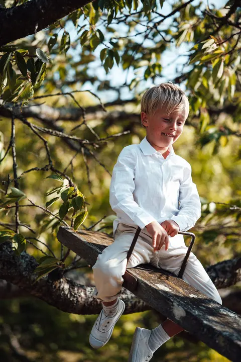 A boy sitting on a tree branch, smiling