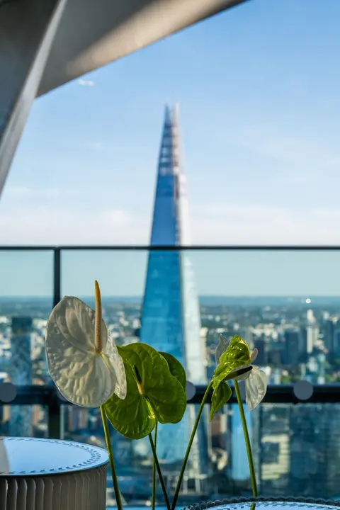The Shard framed by the terrace railing with an anthurium in the foreground