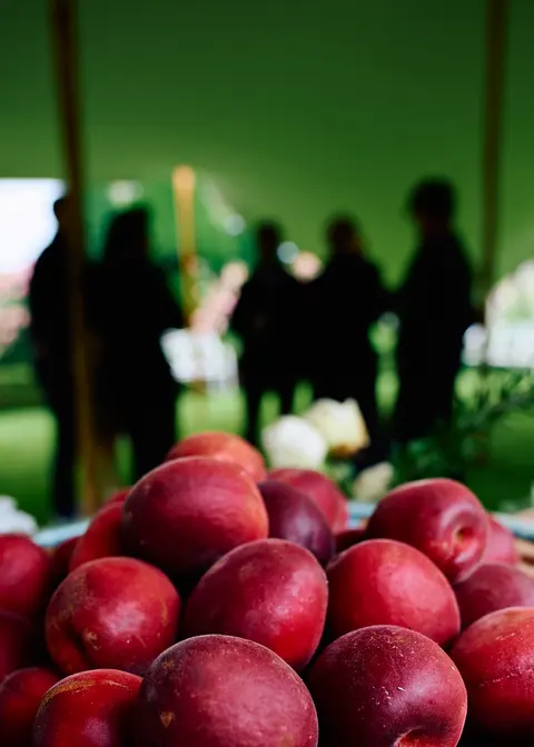 A pyramid of red apples on a garden table