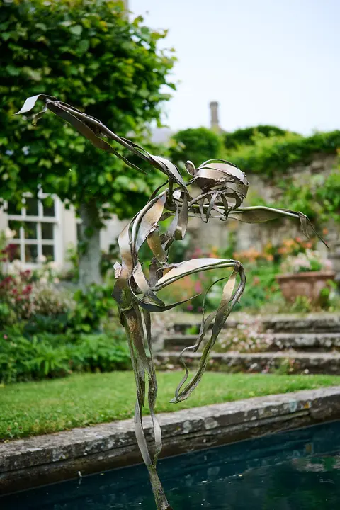 The garden in the last of the evening light